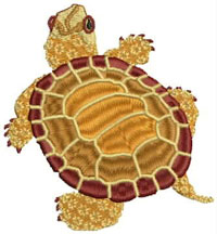 Digitised Turtle artwork
